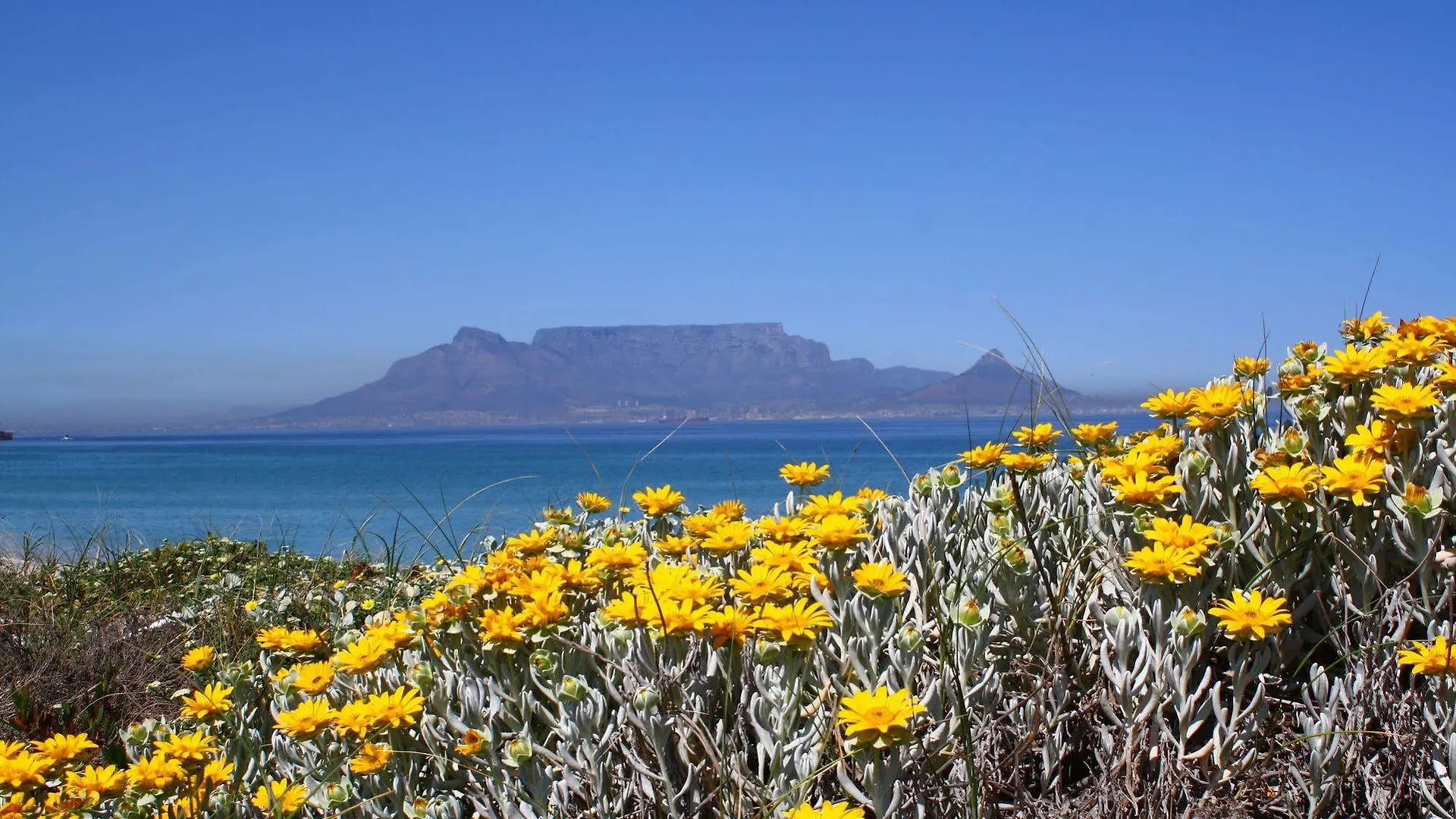 Bloubergstrand Sunset Lodge Cape Town Konukevi